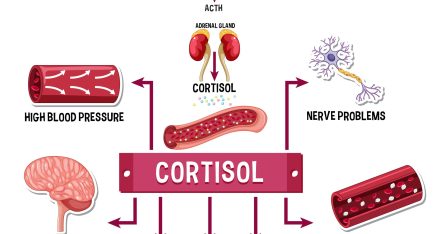La terapia Cognitivo Conductual reduce el cortisol