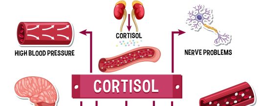 La terapia Cognitivo Conductual reduce el cortisol